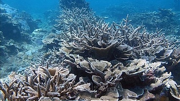 National biodiversity strategy to 2030 approved