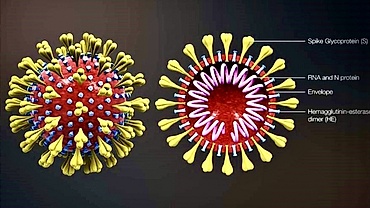 COVID-19 to be considered an endemic disease in Vietnam