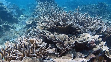 Week-long event raises awareness of sea-based economy, marine biodiversity