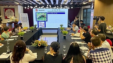 Traditional medicine workshop addresses wildlife trade