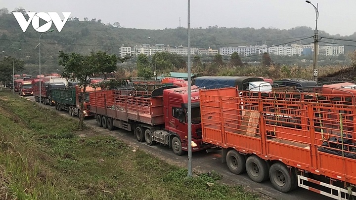 Trung Quốc thông báo tạm dừng xuất nhập khẩu qua Lào Cai