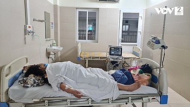 Hanoi on high alert for influenza A infections