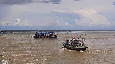 Giá dầu giảm, ngư dân ĐBSCL ra khơi nhưng vẫn lo
