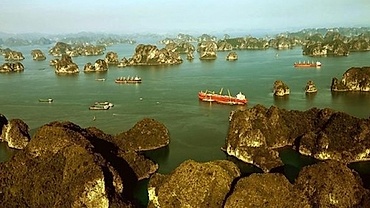 UNESCO Director General hails Vietnam as effective cooperation model