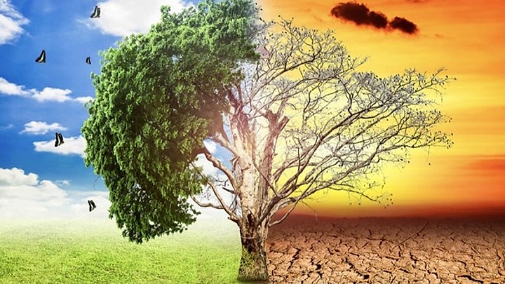 Vietnam calls for comprehensive approach in addressing climate change challenges