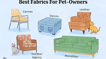 Mẹo chọn ghế sofa cho gia đình nuôi thú cưng