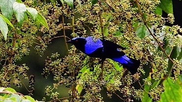 Meeting helps finalise strategy for species conservation