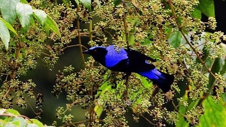 Meeting helps finalise strategy for species conservation