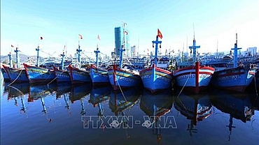 Coastal localities make efforts to remove EC’s yellow card
