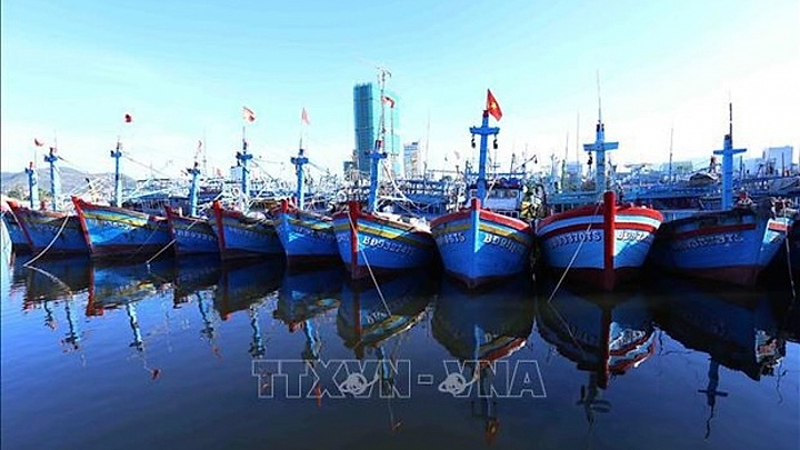Coastal localities make efforts to remove EC’s yellow card