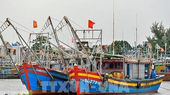 Thanh Hoa vessels possible of violating rules against IUU fishing announced