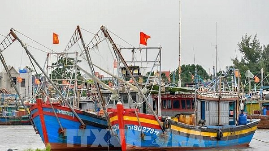 Thanh Hoa vessels possible of violating rules against IUU fishing announced