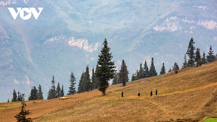 Discovering majestic beauty of Suoi Thau steppe in Ha Giang 