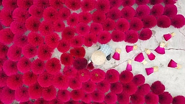 Hanoi listed among locations for Pantone’s 2023 colour of the year