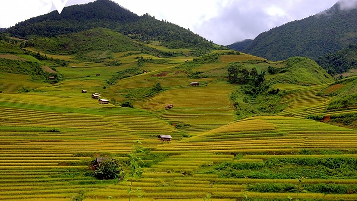 Ha Long Bay, Mu Cang Chai among most colourful places in the world