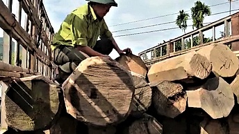 Điều tra vụ cán bộ kiểm lâm và nhân viên bảo vệ rừng bị tấn công
