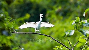Various activities to respond to Int’l Day for Biological Diversity