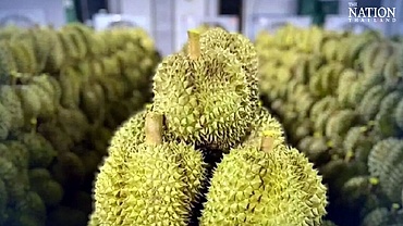 Xuất khẩu sầu riêng Thái Lan sang Trung Quốc tăng vọt nhờ giao thông