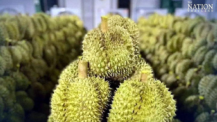 Xuất khẩu sầu riêng Thái Lan sang Trung Quốc tăng vọt nhờ giao thông