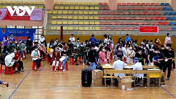 Nearly 1.5% of Vietnamese population donate blood