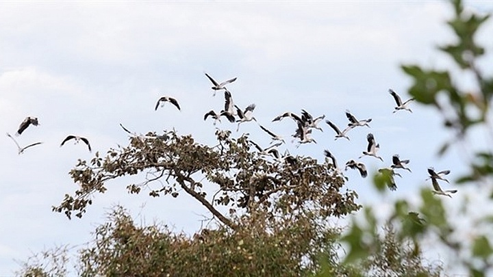 National Park sees better protection thanks to eco-tourism