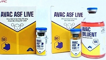 Swine fever vaccines approved for nationwide use