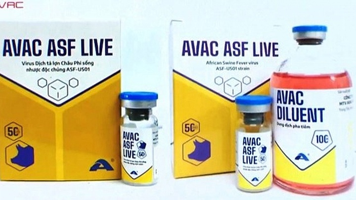Swine fever vaccines approved for nationwide use