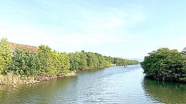 Vietnam considers domestic carbon credit exchange to enhance green transactions