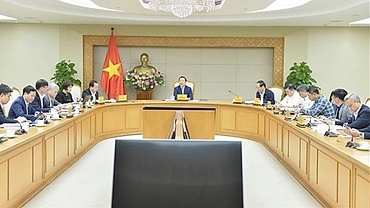 Developing carbon credit market critical to green growth: Deputy PM