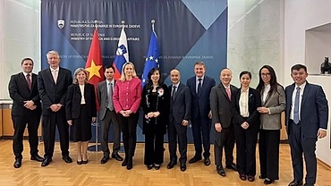 Vietnam treasures ties with Slovakia: Deputy FM