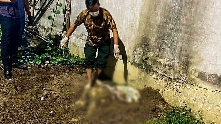 Phát hiện thi thể thiếu nữ 15 tuổi bị chôn lấp trong vườn chuối ở Hải Phòng
