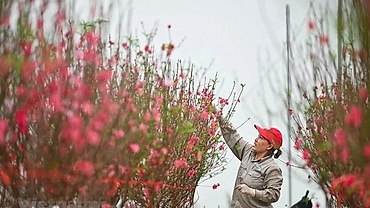 2025 Lunar New Year holiday plan submitted to PM