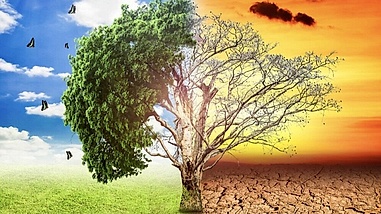 Phát thanh và biến đổi khí hậu