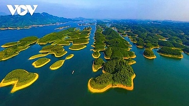 Complete legal framework needed to develop carbon market in Vietnam