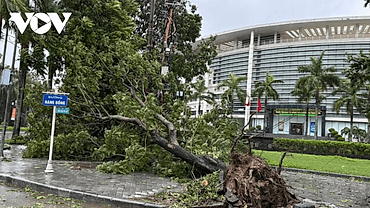 Typhoon Bualoi wreaks havoc across central Vietnam