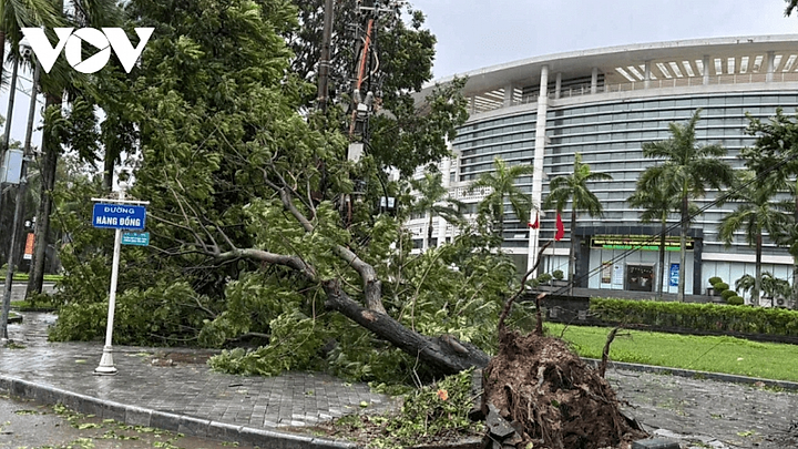 Typhoon Bualoi wreaks havoc across central Vietnam