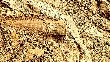 200kg wartime bomb discovered on Ha Tinh riverbank