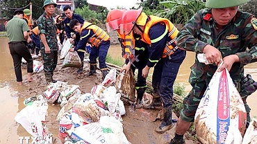 Protecting dykes – a must in disaster response