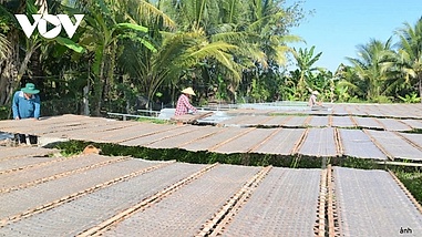 200-year-old rice paper village busy preparing for Tet