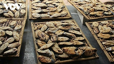 Grilled fish village in Nghe An at peak output ahead of Lunar New Year
