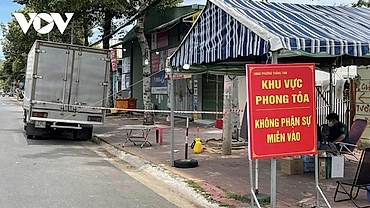 Cơn mơ xanh mãi