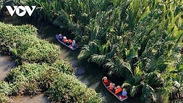 Springtime trip to Tinh Khe coconut water forest in central Vietnam