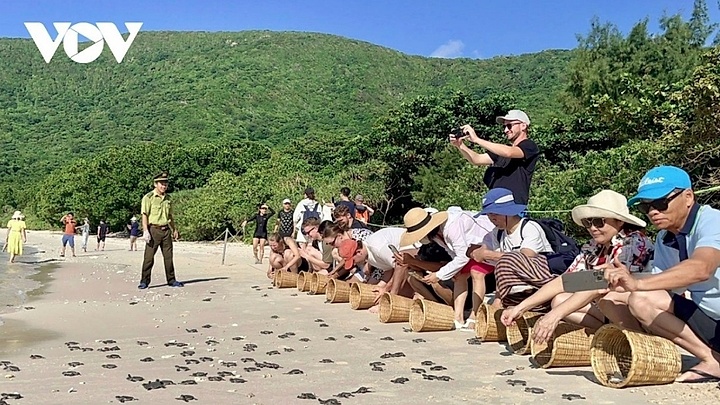 Con Dao among Asia’s best spring travel destinations for 2026