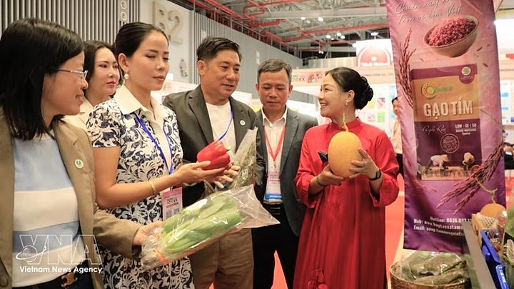 HCMC FOODEX 2026 showcases Vietnam’s food industry potential