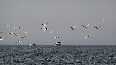 20 tàu thương mại đi qua eo Hormuz trong 1 ngày