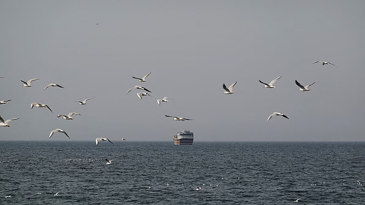 20 tàu thương mại đi qua eo Hormuz trong 1 ngày
