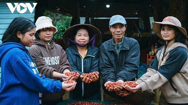 Giá cà phê hôm nay 14/5: Giá cà phê trong nước cao nhất ở mức 88.000 đồng/kg