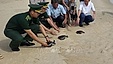 Three rare sea turtles released back into the sea off Quang Tri province