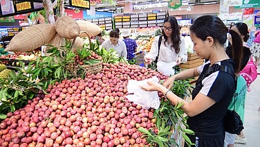 Saigon Co.op đồng hành tiêu thụ mận hậu Sơn La, giá tốt hơn thị trường đến 50%