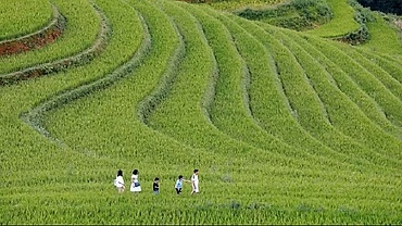 Regional connectivity creates fresh momentum for Vietnam’s tourism growth